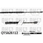 Quinton Hazell QTS828722 Gasveer achterklep