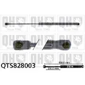 Quinton Hazell QTS828003 Gasveer motorkap