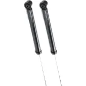 RIDEX 854S19325 Schokdemper
