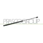 PRASCO FT7159055 Gasveer achterklep