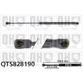 Quinton Hazell QTS828190 Gasveer achterklep
