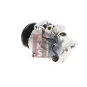 AKS DASIS 852588N Aircopomp