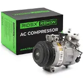RIDEX 447K0455R Aircopomp