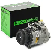 RIDEX 447K0095R Aircopomp
