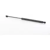 BSG 90-980-055 Gasveer achterklep