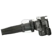 EFI 155099 Bobine