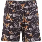 Bruno Banani Boxershorts bruin / zwart / wit
