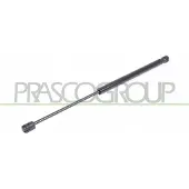 PRASCO VG0169055 Gasveer achterklep