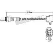 VEGAZ ULS-668 Lambdasonde