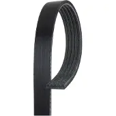 Gates 5PK748SF Multiriem