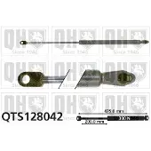 Quinton Hazell QTS128042 Gasveer achterklep
