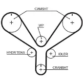 Gates T286RB Distributieriem