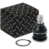 RIDEX 2462S0542 Fuseekogel