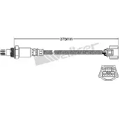 VEGAZ ULS-484 Lambdasonde
