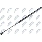 NTY AE-CT-004 Gasveer achterklep