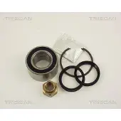 TRISCAN 8530 10105 Wiellagerset