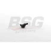 BSG 25-720-062 Radiateurslang