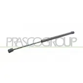 PRASCO MN3049055 Gasveer achterklep