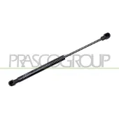 PRASCO ME3049055 Gasveer achterklep