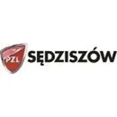 PZL Filters 226310AX Brandstoffilter