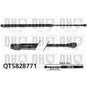 Quinton Hazell QTS828771 Gasveer achterklep