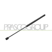 PRASCO FD4209055 Gasveer achterklep