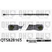Quinton Hazell QTS828165 Gasveer achterklep