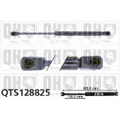 Quinton Hazell QTS128825 Gasveer achterklep
