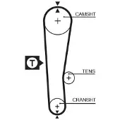 Gates 5313XS Distributieriem