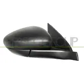 PRASCO Buitenspiegel FT4487303