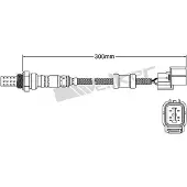VEGAZ ULS-322 Lambdasonde