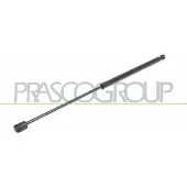 PRASCO FT1389055 Gasveer achterklep