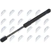 NTY AE-SK-018 Gasveer achterklep