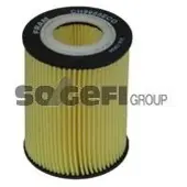 FRAM CH9955ECO Oliefilter