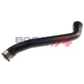 BOGAP A4228462 Radiateurslang