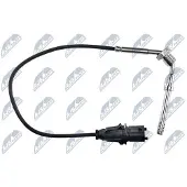 NTY EGT-PL-013 Sensor, uitlaatgastemperatuur