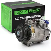 RIDEX 447K0409R Aircopomp