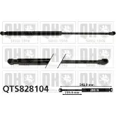 Quinton Hazell QTS828104 Gasveer achterklep
