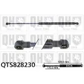Quinton Hazell QTS828230 Gasveer achterklep