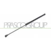 PRASCO ST4229055 Gasveer achterklep