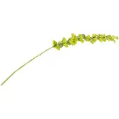 Coco Maison Molcucella spray 105cm |