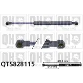 Quinton Hazell QTS828115 Gasveer achterklep