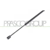 PRASCO FT4209055 Gasveer achterklep