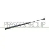 PRASCO FT3409055 Gasveer achterklep