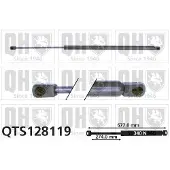 Quinton Hazell QTS128119 Gasveer achterklep
