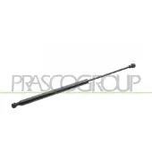 PRASCO FT0309055 Gasveer achterklep