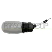 PRASCO Buitenspiegel FT1337124