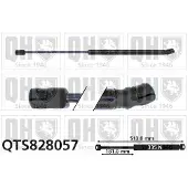 Quinton Hazell QTS828057 Gasveer achterklep