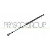 PRASCO DS7109055 Gasveer achterklep