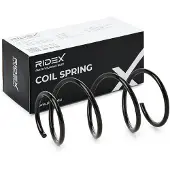 RIDEX 188C0619 Chassisveer
